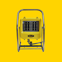 More light for less power – Low Voltage LinkEx™ LED floodlite WF-300