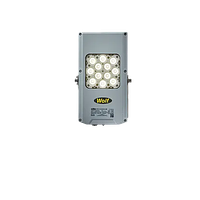 LFX1 FLOODLITE