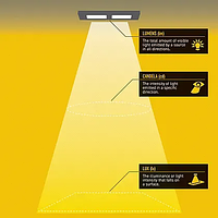 Die Erkundung der Erleuchtung